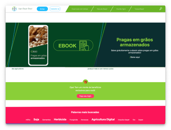 Agro Bayer