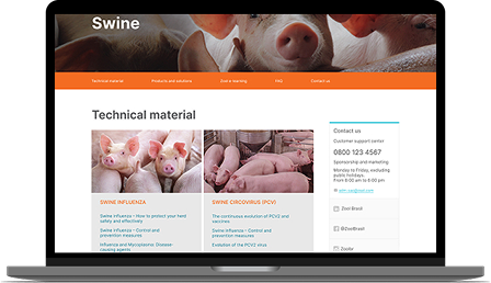 Zool Go-to-Market page on MacBook