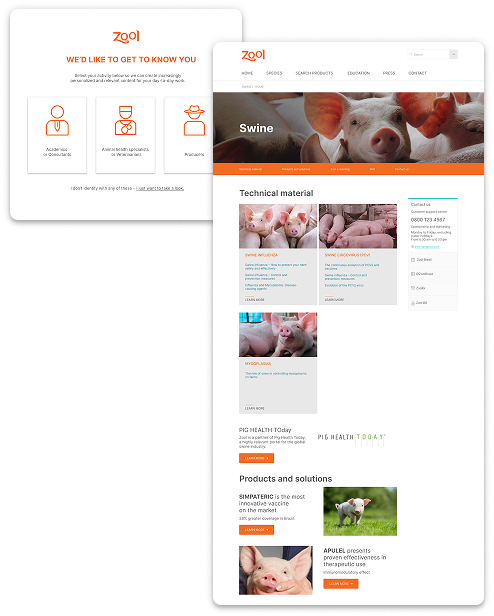 Zool website profile selection modal