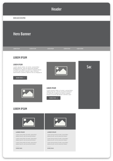 Homepage desktop wireframe with hero, content blocks, and SAC sidebar